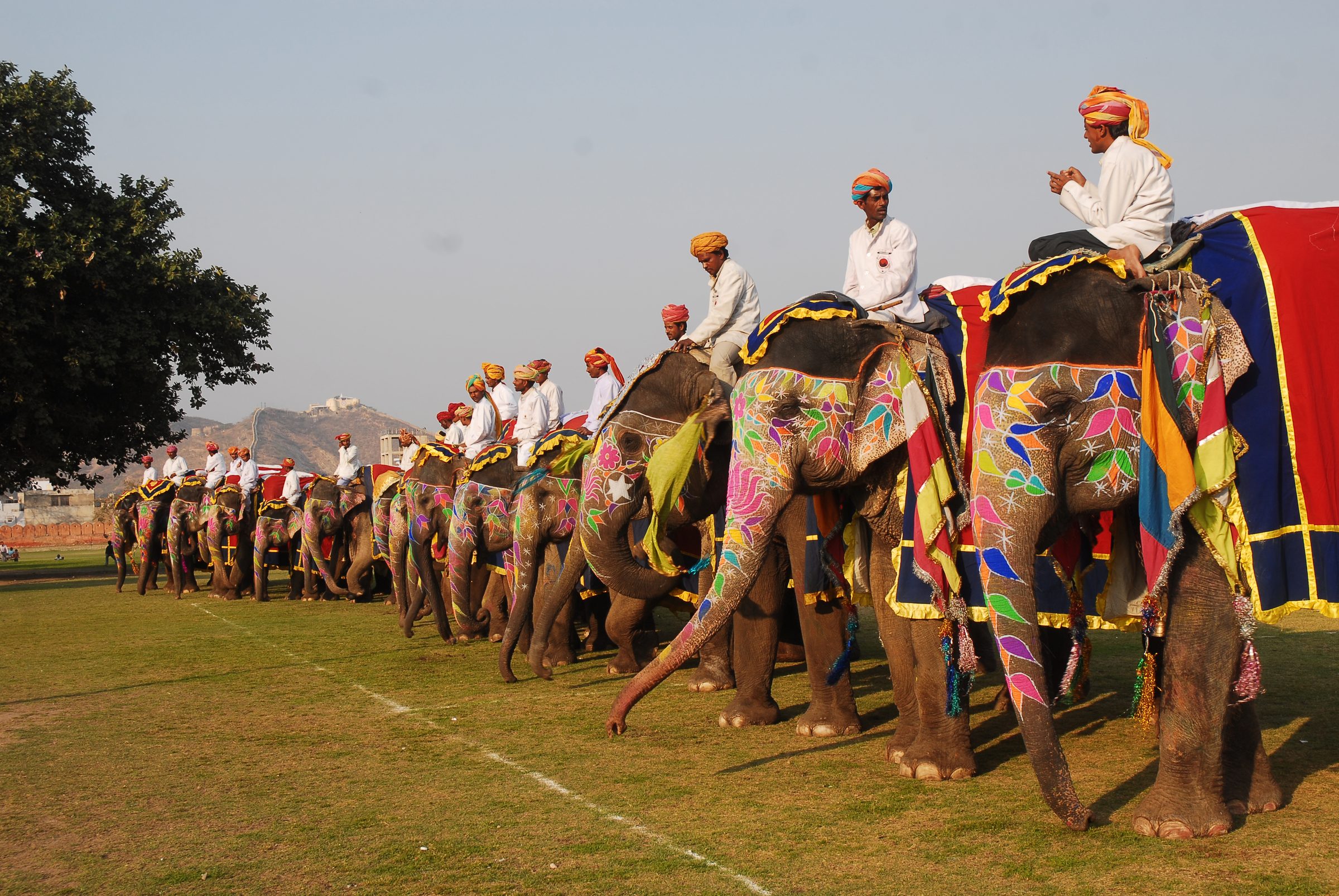 Painted elephants with riders in white and orange turbans
