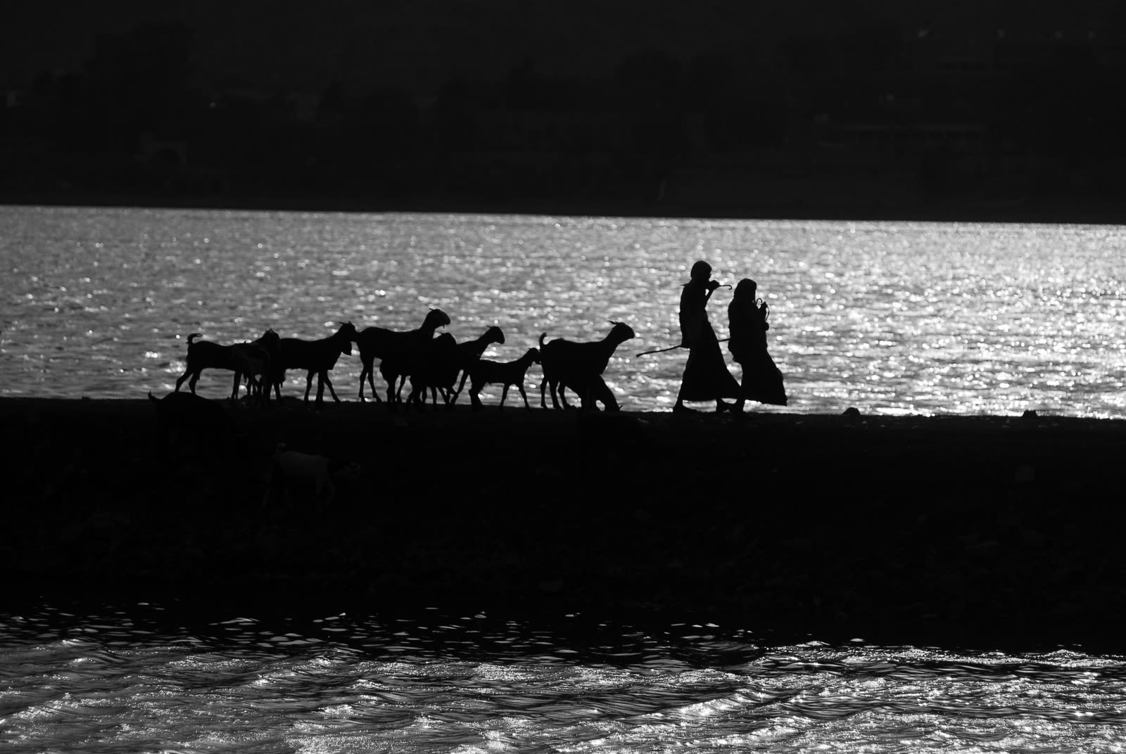 Silhouettes of goats and herders on a lake bank